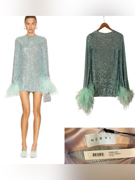 Nervi Dresses & Skirts - Nervi Penelope Sequin and Feather Mini Dress